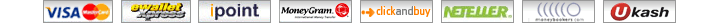Online Bingo Payment Methods